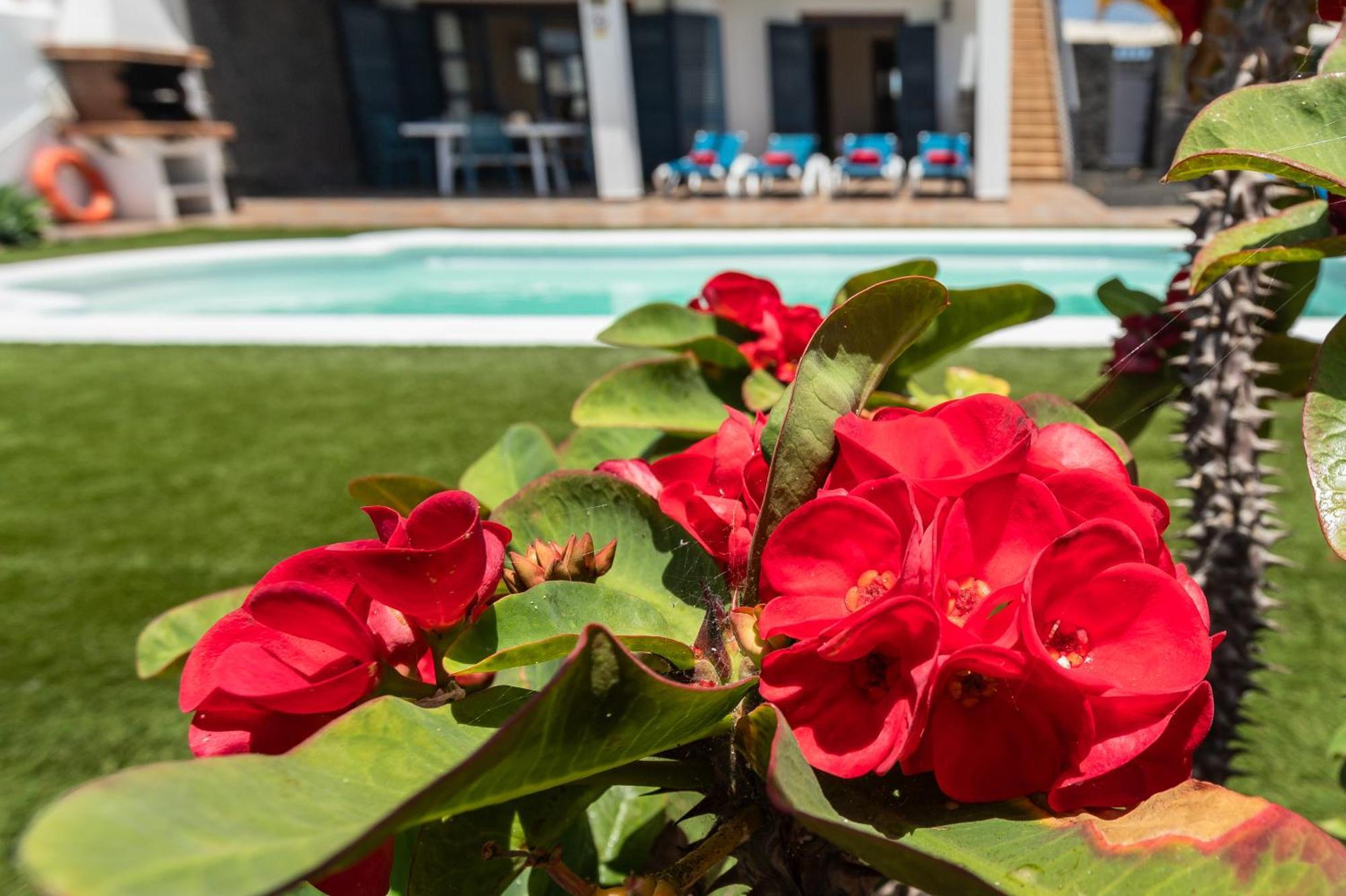 Villas Susaeta Playa Blanca  Eksteriør billede